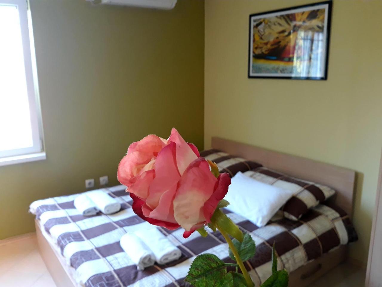 Apartments Popovic Belgrade Extérieur photo